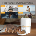 Automatic Cat Feeder, 3L Cat Food Dispenser with Anti-Jam Design, Over 180-day Battery Life, 1-6 Meals Per Day with Stainless Steel Cat Bowl, Keep Dry Food Fresh, Timed Pet Feeder Also for Small Dog