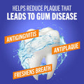 TheraBreath Healthy Gums Oral Rinse, Clean Mint, 16 fl oz, 2-Pack | Antigingivitis, Dentist Formulated, Prevents Gingivitis, Supports Gum Health, Alcohol Free