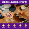 Wellness Complete Health Adult Dry Cat Food, Natural, Wholesome Grains Kibble, Chicken Recipe, 5 lb Bag