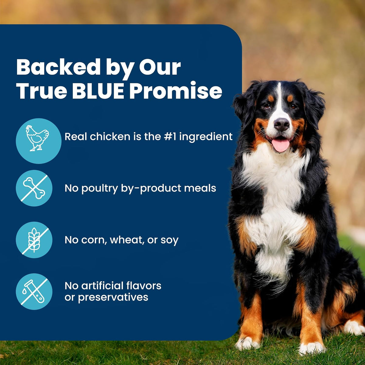 Blue Buffalo Life Protection Formula Chicken & Brown Rice Adult Dry Dog Food, Supports Immunity with Antioxidant-Rich LifeSource Bits, Promotes Healthy Muscle Development, Skin & Coat Health, 30 lbs.