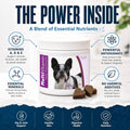 Healthy Breeds French Bulldog All in One Multivitamin Soft Chew 120 Count