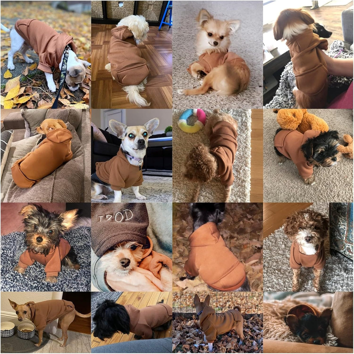 Soft Dog Hoodies for Small Dogs, Warm Fleece Puppy Clothes with Pocket
