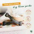 Benebone Wishbone Chew Toy for Aggressive Chewers, Pumpkin Spice, Small