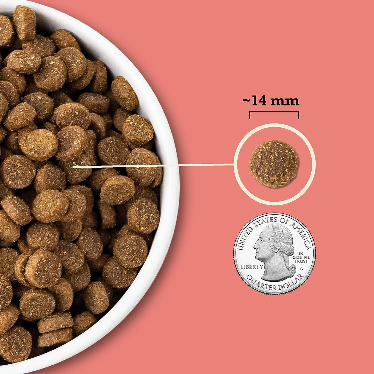 ACANA Wholesome Grains Dry Dog Food Red Meat & Grains Beef Pork & Lamb Recipe 22.5lb Bag