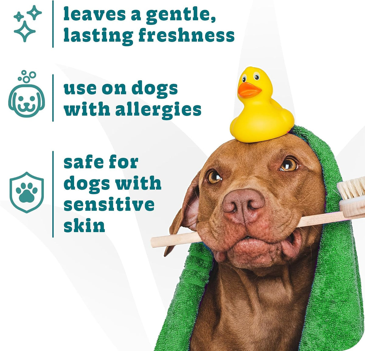Espree Hypoallergenic Dog Shampoo & Conditioner, Dog Grooming Supplies, Tearless Formula with Aloe Vera, Made Without Sulfates, Parabens, Harsh Chemicals and Dyes, Safe for Sensitive Skin, 20oz