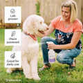 Wondercide Flea Tick & Mosquito Spray for Pets & Home - Rosemary 16 fl oz | With Natural Essential Oils - Killer, Control, Prevention, Treatment of Fleas & Ticks for Dogs and Cats - Pet & Family Safe