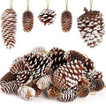 28 PCS Natural Pine Cones with Strings