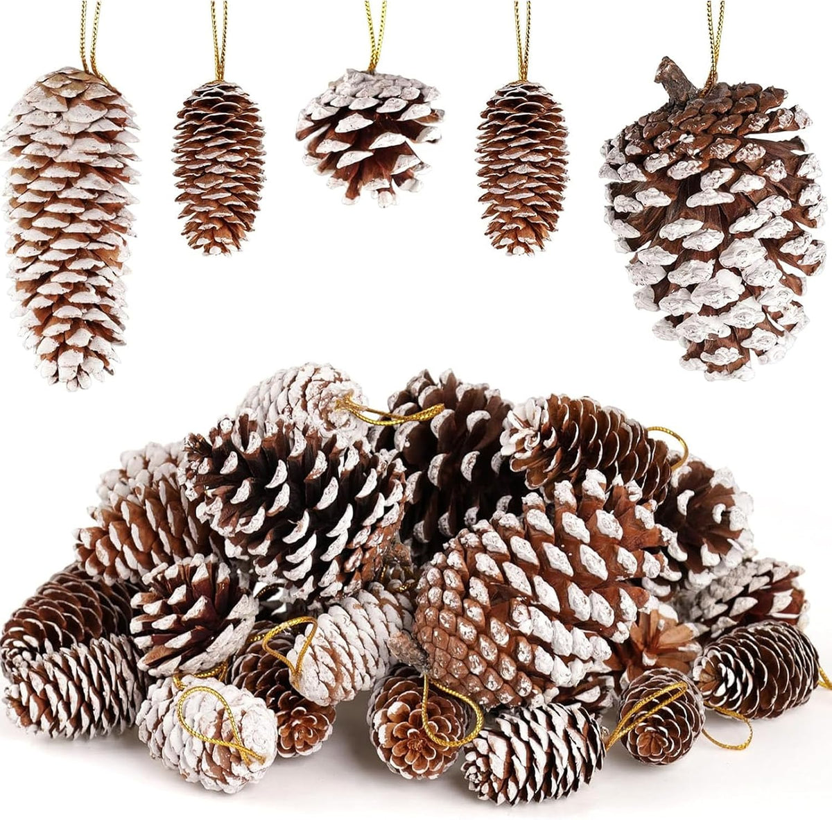 28 PCS Natural Pine Cones with Strings