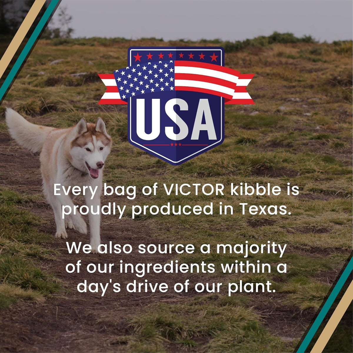 VICTOR Super Premium Dog Food – Hi-Pro Plus Dry Kibble – High Protein Dog Food with 30% Protein – Beef, Chicken, Pork, Fish Meals, Gluten Free - for High Energy and Active Dogs & Puppies, 40lbs
