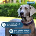 Seresto Flea & Tick Collar For Dogs Over 18 lbs., Treatment & Prevention, Vet-Recommend, 8 Month Protection