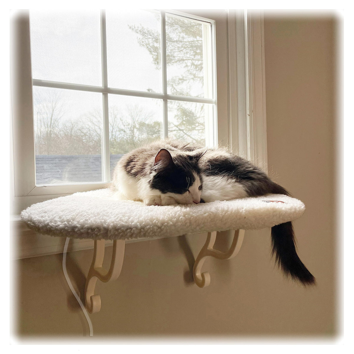 K&H Cat Window Perch Kitty Sill - Cat Window Hammock Bed with Strong Support Holds 40 lbs, Cushioned Windowsill Bed for Indoor Cats, Washable Cover, Cream Fleece, 24 x 14 Inches