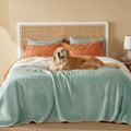 Bedsure Waterproof Dog Blankets for Small Dogs Soft Cat Blanket Warm,25X35