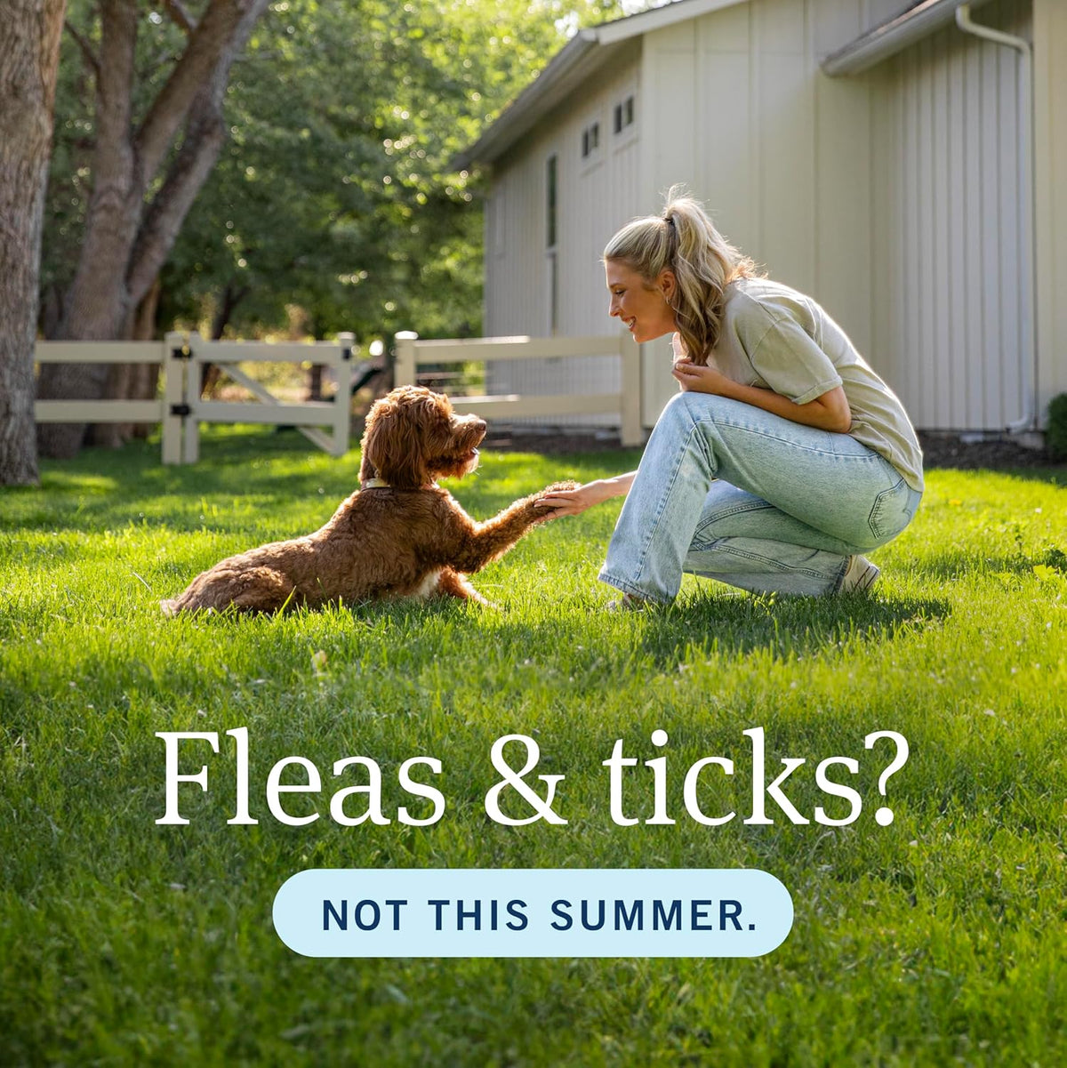 PetArmor Plus Flea & Tick Topical Dogs 45-88 lbs, 6-Month | Ideal for Large Dogs 45-88 lbs; Kills Fleas, Eggs, Larvae, Ticks & Lice; 6-month supply; Waterproof Nose-to-Tail