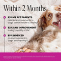10-in-1 Dog Multivitamin Supplement with Glucosamine & Probiotics - Hip & Joint Support, Digestive Health, Immune Support, Heart & Skin - All-in-One Daily Vitamins & Omega-3s (Peanut Butter, 90 ct)