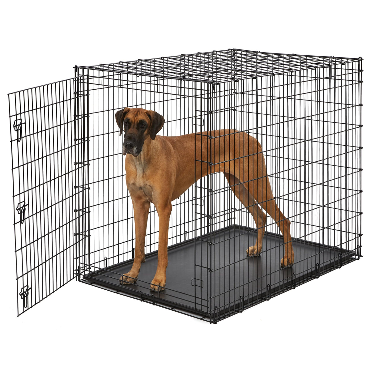 MidWest Homes for Pets 30-Inch iCrate for Medium Breeds, 21-40 lbs, Single Door Folding Dog Crate with Divider Panel, Leak-Proof Tray & Secure Latch, Portable, Durable & Easy to Assemble