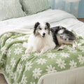 LE SURE Waterproof Dog Blankets for Small Dogs Cute Cozy 3D Jacquard,25x35