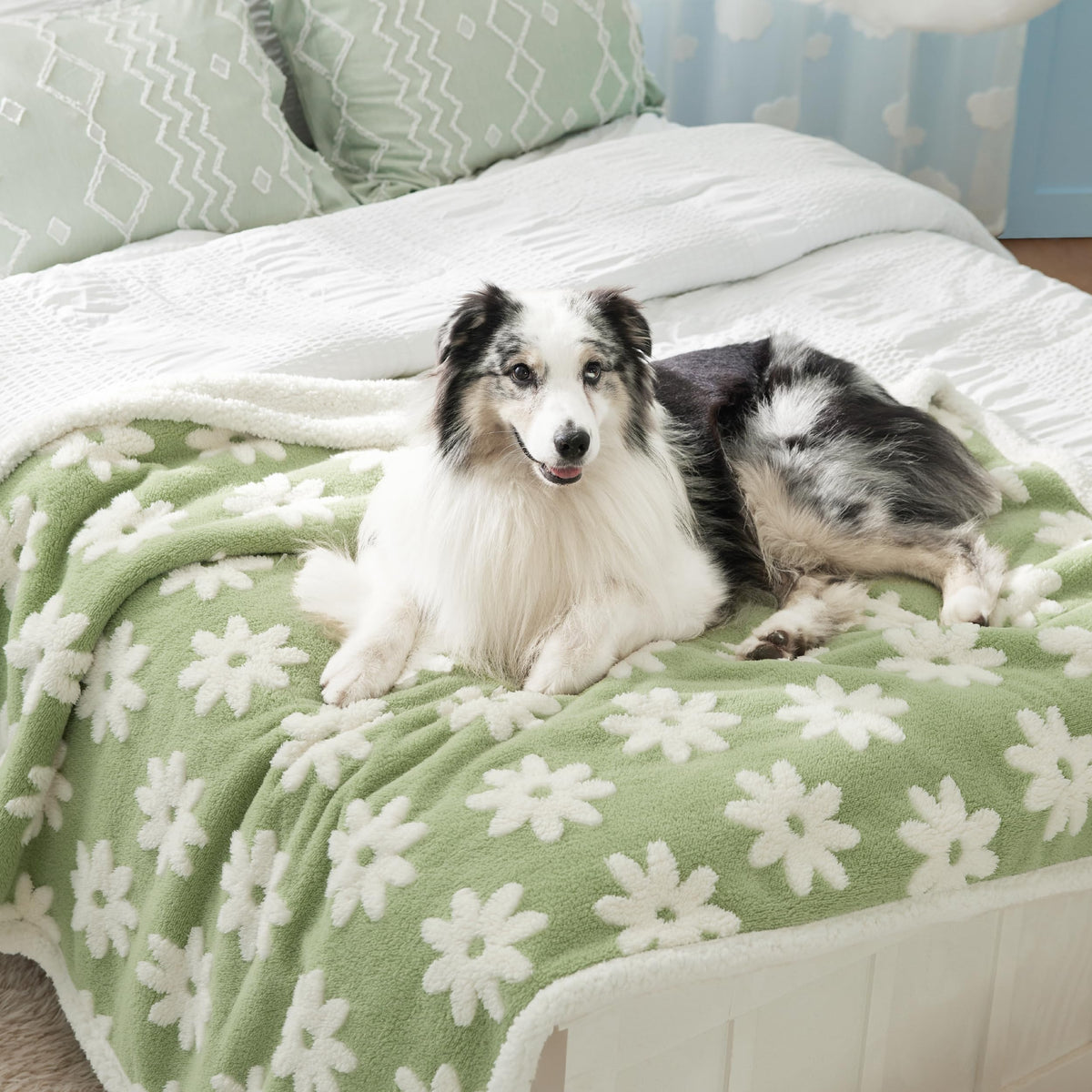 LE SURE Waterproof Dog Blankets for Small Dogs Cute Cozy 3D Jacquard,25x35