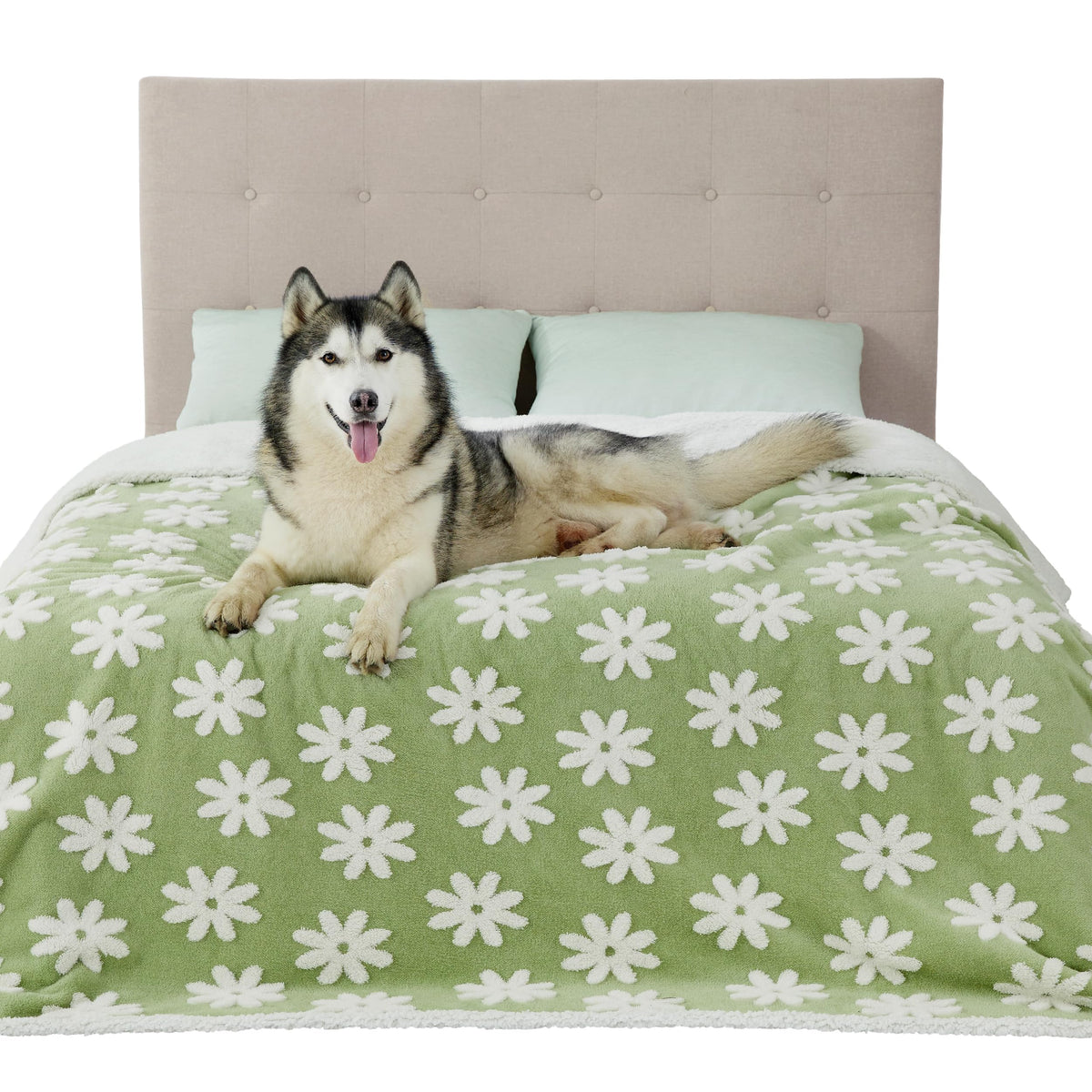 LE SURE Waterproof Dog Blankets for Small Dogs Cute Cozy 3D Jacquard,25x35