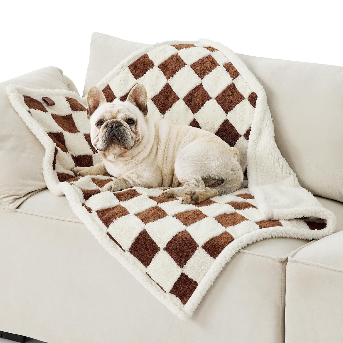LE SURE Waterproof Dog Blankets for Small Dogs Cute Cozy 3D Jacquard,25x35