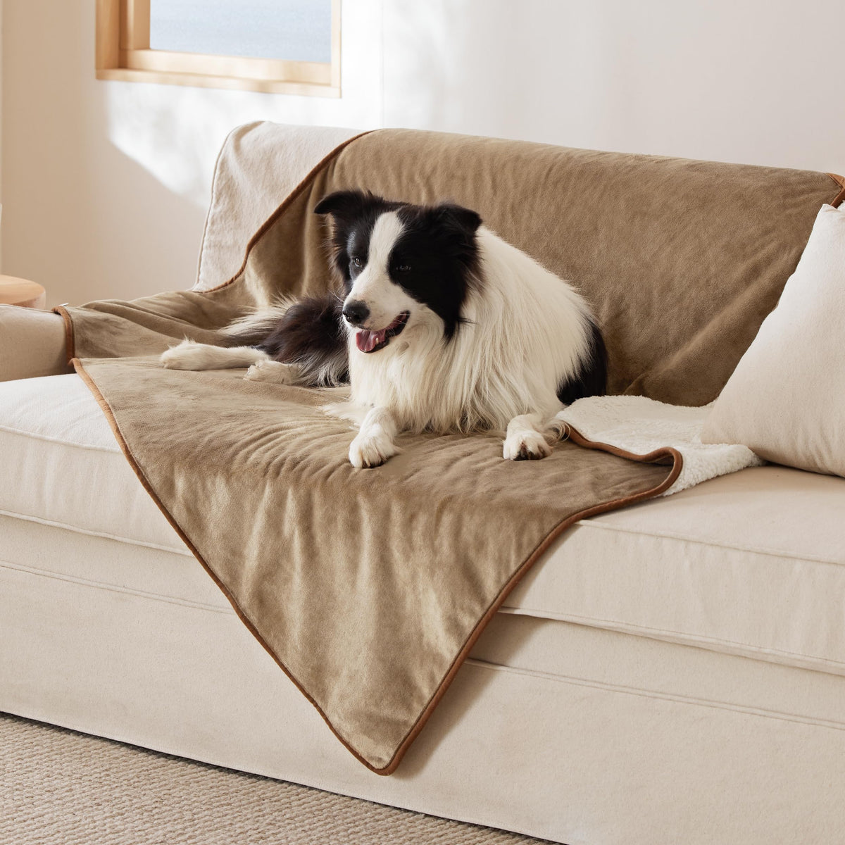 Bedsure Waterproof Dog Blankets for Small Dogs Soft Cat Blanket Warm,25X35