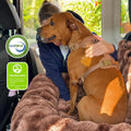 Pelsbarn Luxurious Cozy Car Dog Bed, Faux Fur Travel Bed, Brown, S