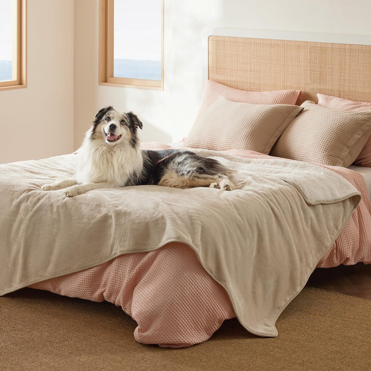 Bedsure Waterproof Dog Blankets for Small Dogs Soft Cat Blanket Warm,25X35