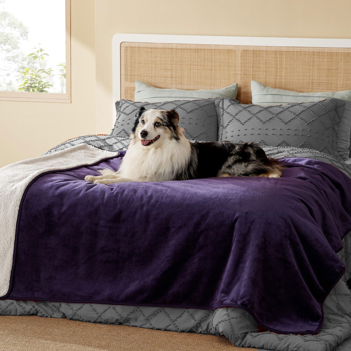 Bedsure Waterproof Dog Blankets for Small Dogs Soft Cat Blanket Warm,25X35