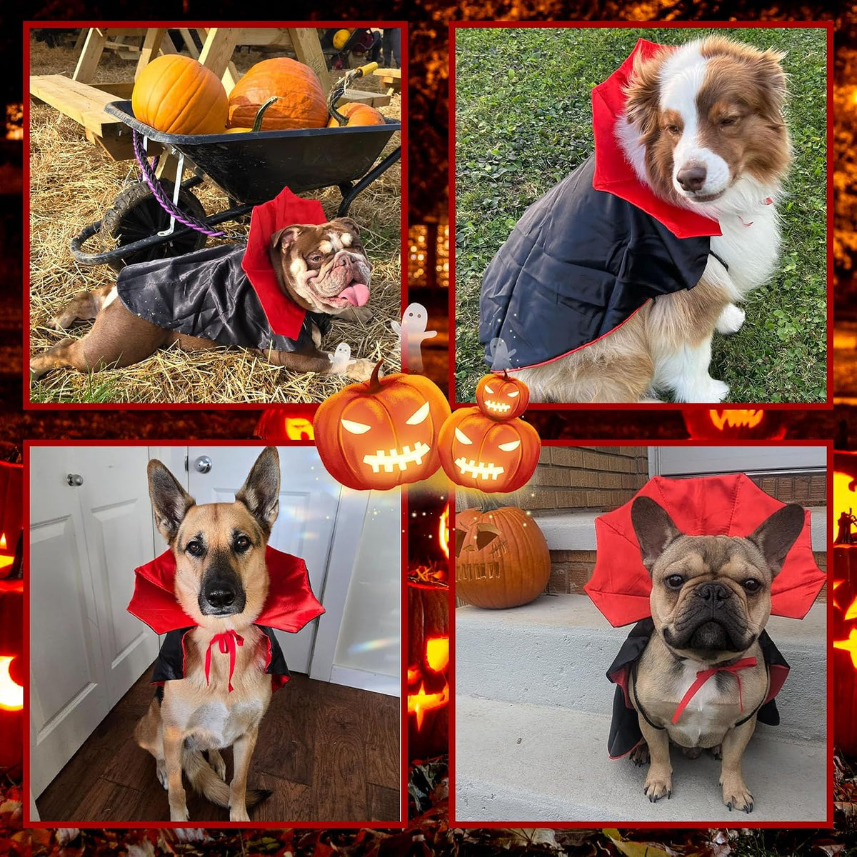 GOYOSWA Dog Halloween Costumes, Dog Vampire Devil Cloak Cape Costume Halloween Costumes for Small Medium Large Dogs Pets (Large)