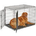 MidWest Homes for Pets 30-Inch iCrate for Medium Breeds, 21-40 lbs, Single Door Folding Dog Crate with Divider Panel, Leak-Proof Tray & Secure Latch, Portable, Durable & Easy to Assemble