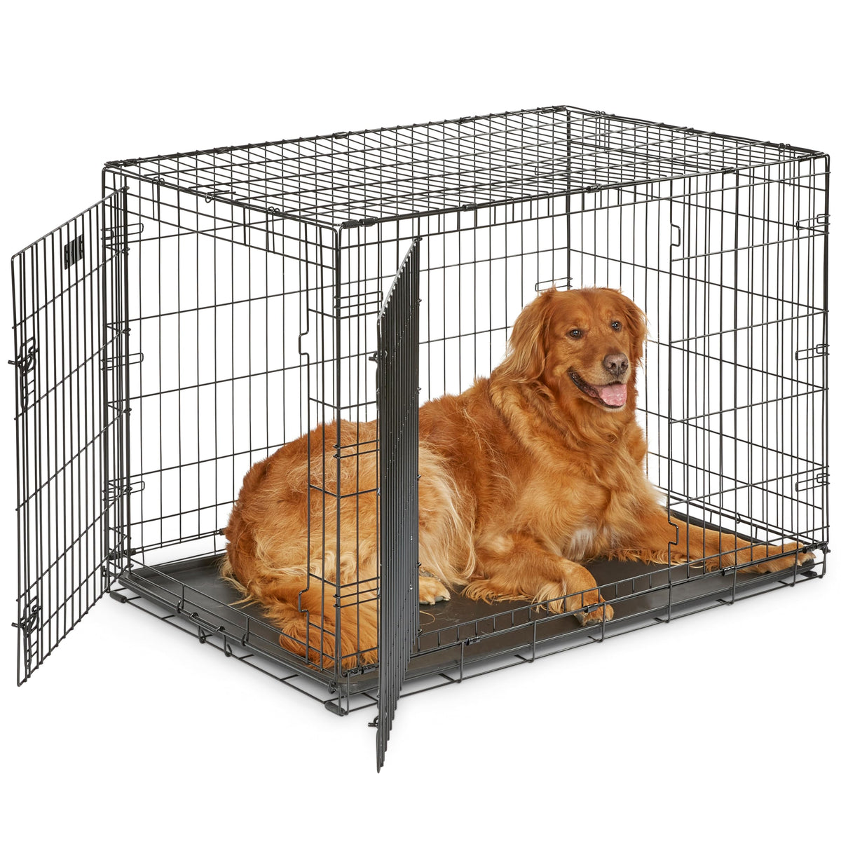 MidWest Homes for Pets 30-Inch iCrate for Medium Breeds, 21-40 lbs, Single Door Folding Dog Crate with Divider Panel, Leak-Proof Tray & Secure Latch, Portable, Durable & Easy to Assemble