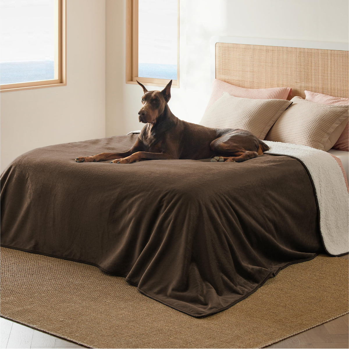 Bedsure Waterproof Dog Blankets for Small Dogs Soft Cat Blanket Warm,25X35