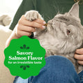 Greenies Cat Treats, Feline Veterinarian-Recommended Adult Natural Dental Cat Treats, Savory Salmon Flavor, 4.6 oz. Pouch