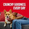Milk-Bone Flavor Snacks Mini’s Dog Biscuits, Flavored Crunchy Dog Treats, 36 Oz. Canister