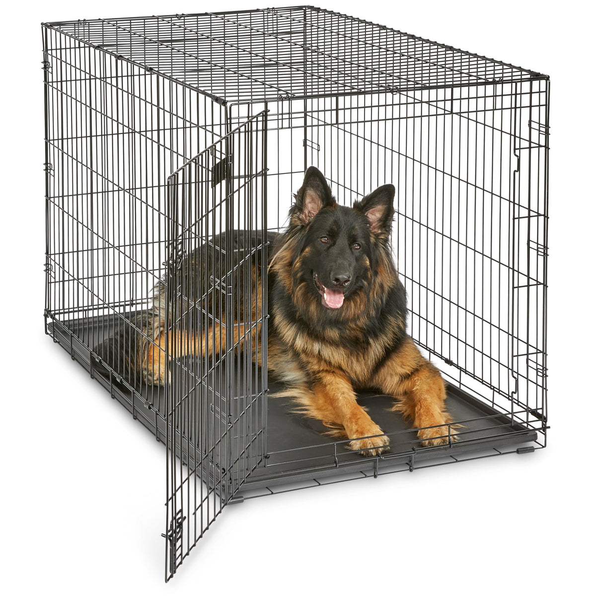 MidWest Homes for Pets 30-Inch iCrate for Medium Breeds, 21-40 lbs, Single Door Folding Dog Crate with Divider Panel, Leak-Proof Tray & Secure Latch, Portable, Durable & Easy to Assemble
