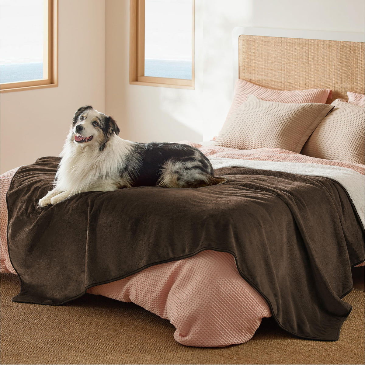 Bedsure Waterproof Dog Blankets for Small Dogs Soft Cat Blanket Warm,25X35