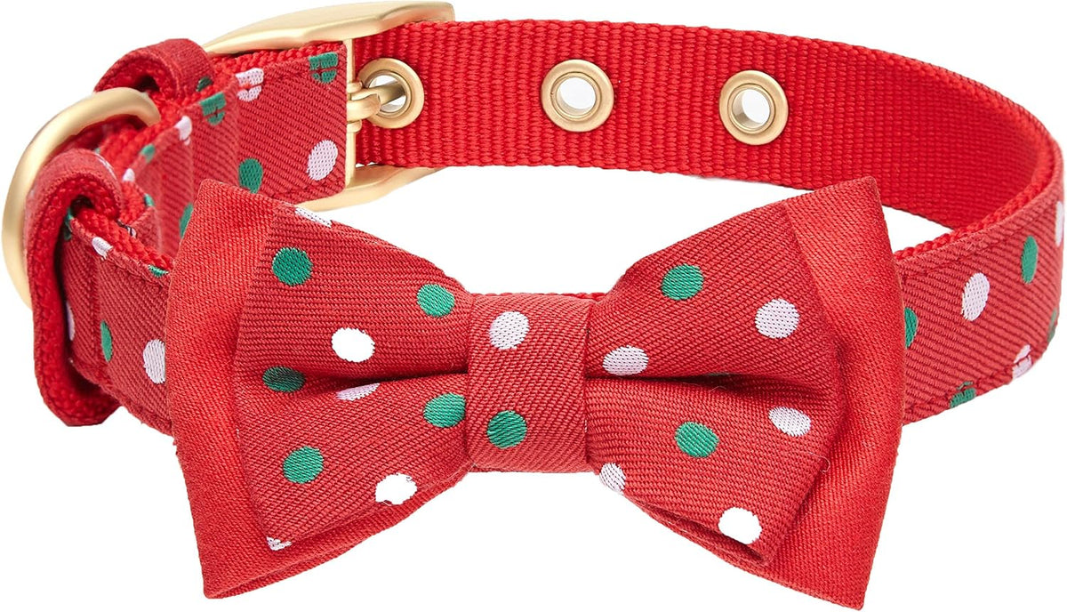 Blueberry Pet Luxurious Christmas Festival Polka Dot Adjustable Dog Collar with Detachable Bowtie, Neck 13-16.5", for Medium Breed