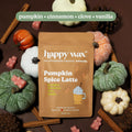 Happy Wax Fall Scented Soy Wax Melts 6oz Variety Pack - Fall Mix