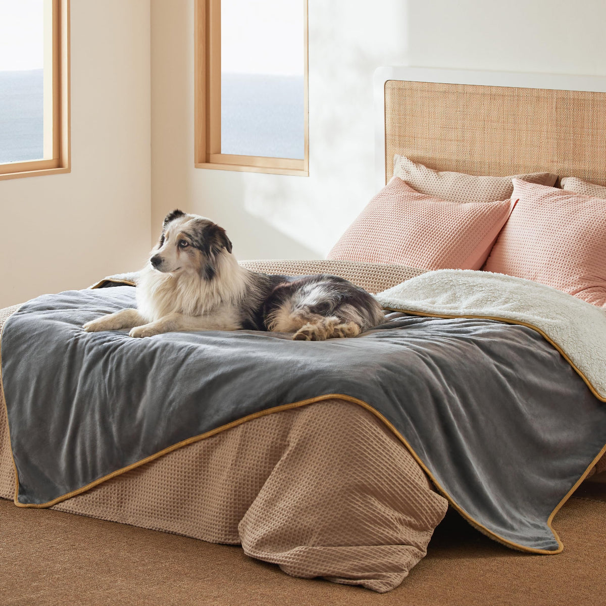 Bedsure Waterproof Dog Blankets for Small Dogs Soft Cat Blanket Warm,25X35