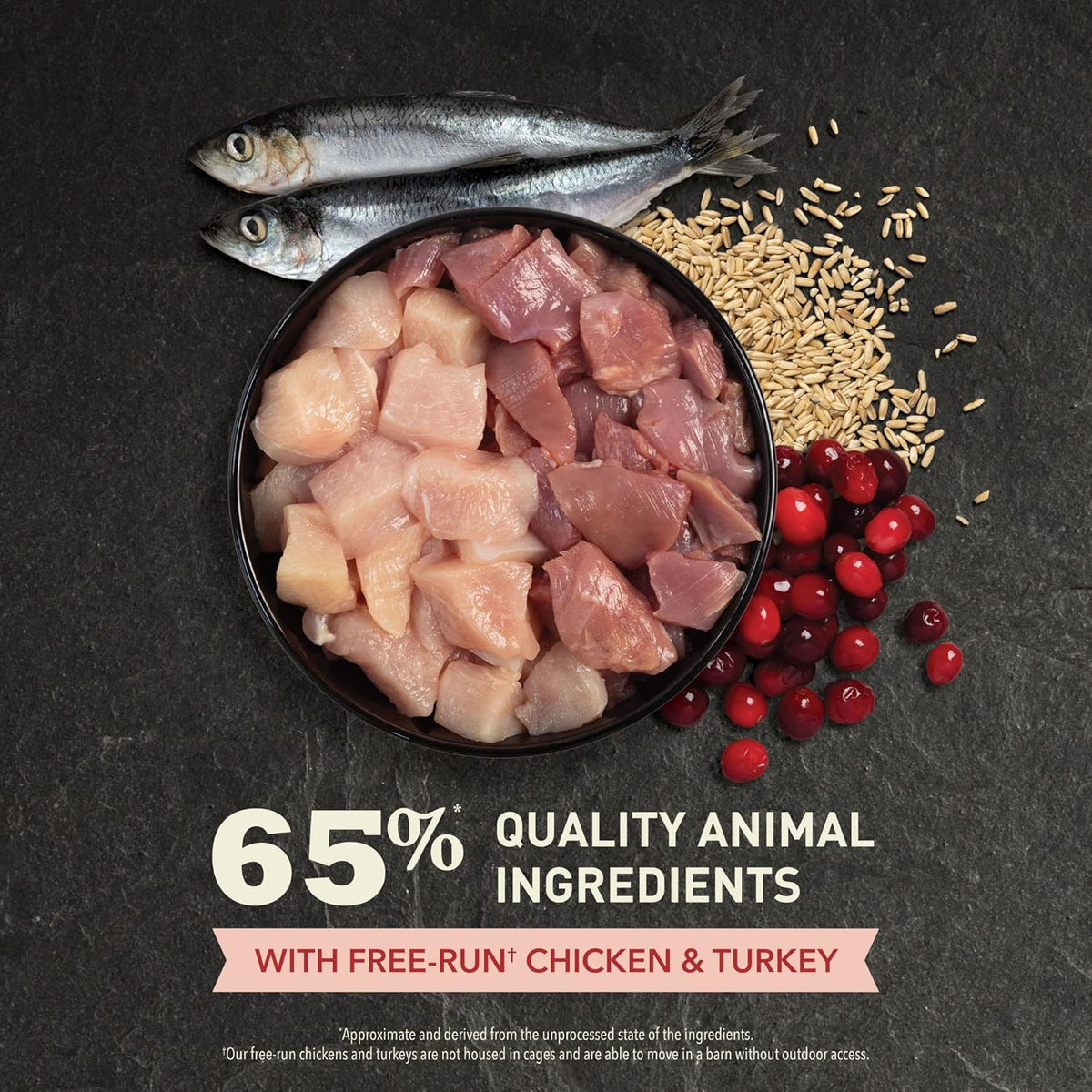 ACANA Dry Cat Food for Indoor Cats Indoor Entrée Chicken Turkey, 10lb Bag | Includes Probiotics, Digestive Health, Weight Management, Free-Run Poultry, World's Finest Ingredients