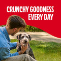 Milk-Bone Crunchy Medium Dog Treats, 10 Lb. Box, Original Beef Flavor