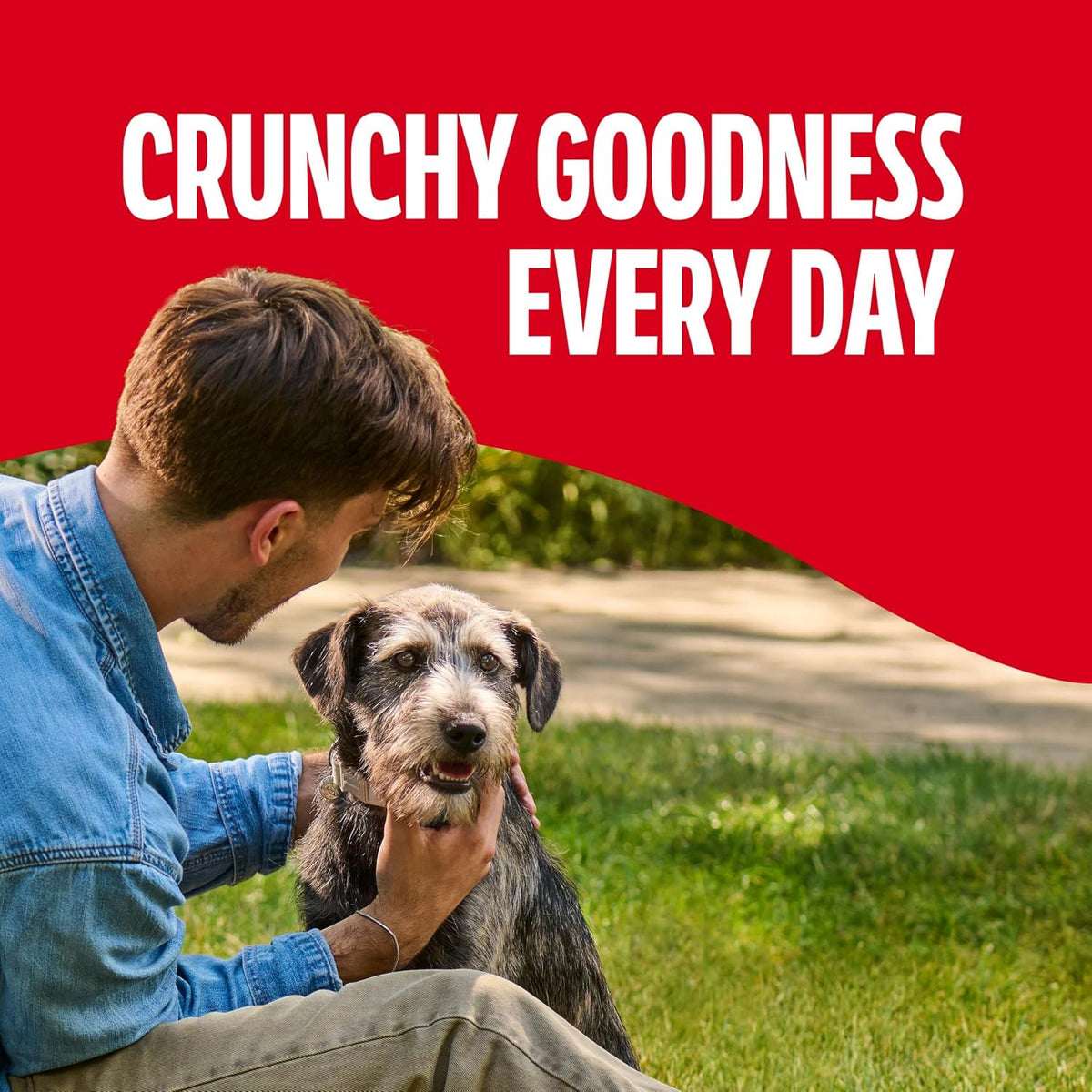 Milk-Bone Crunchy Medium Dog Treats, 10 Lb. Box, Original Beef Flavor
