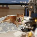 LE SURE Waterproof Dog Blankets for Small Dogs Cute Cozy 3D Jacquard,25x35