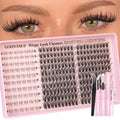 Goddvenus Lash Clusters Kit Wispy Eyelash Clusters Lashes Natural DIY Lash Extension Kit 10-16mm Cluster Eyelash Extensions Kit 300pcs C Curl Individual Lashes Cluster Eyelash (No Tweezers)
