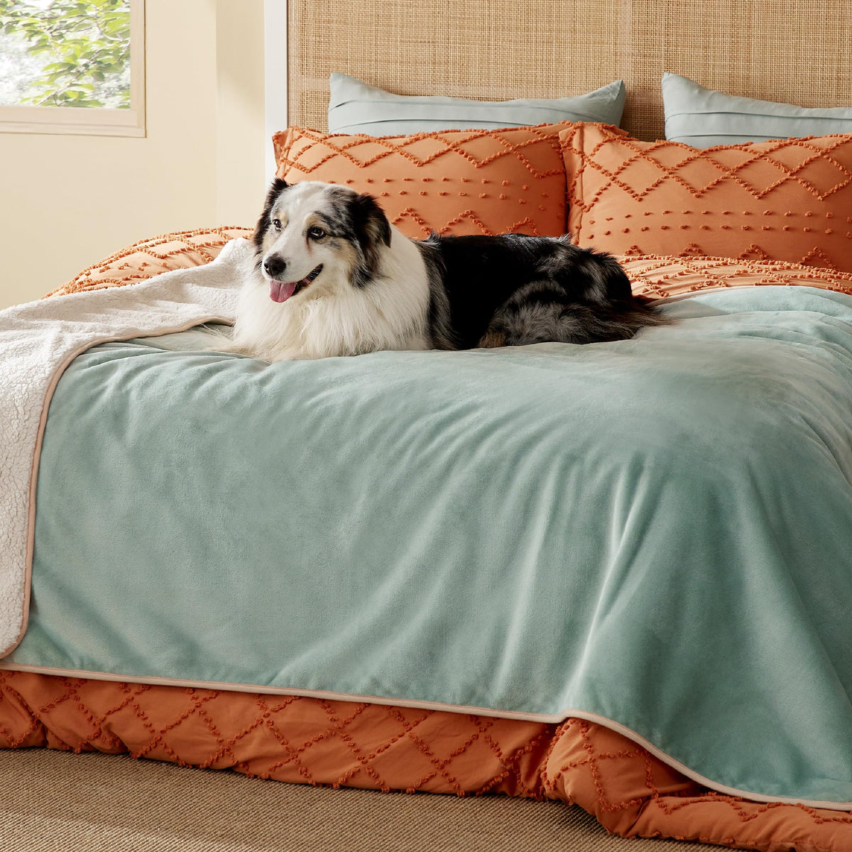 Bedsure Waterproof Dog Blankets for Small Dogs Soft Cat Blanket Warm,25X35