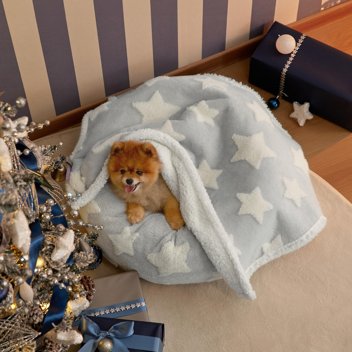 LE SURE Waterproof Dog Blankets for Small Dogs Cute Cozy 3D Jacquard,25x35