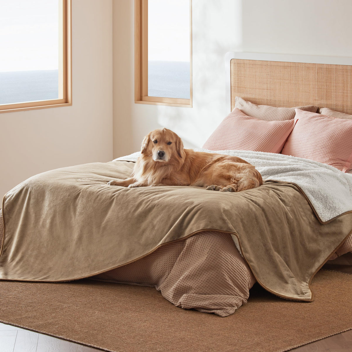 Bedsure Waterproof Dog Blankets for Small Dogs Soft Cat Blanket Warm,25X35