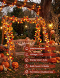 8.5Ft Thanksgiving Turkey String Lights, 10 LED Outdoor with Garland Decor