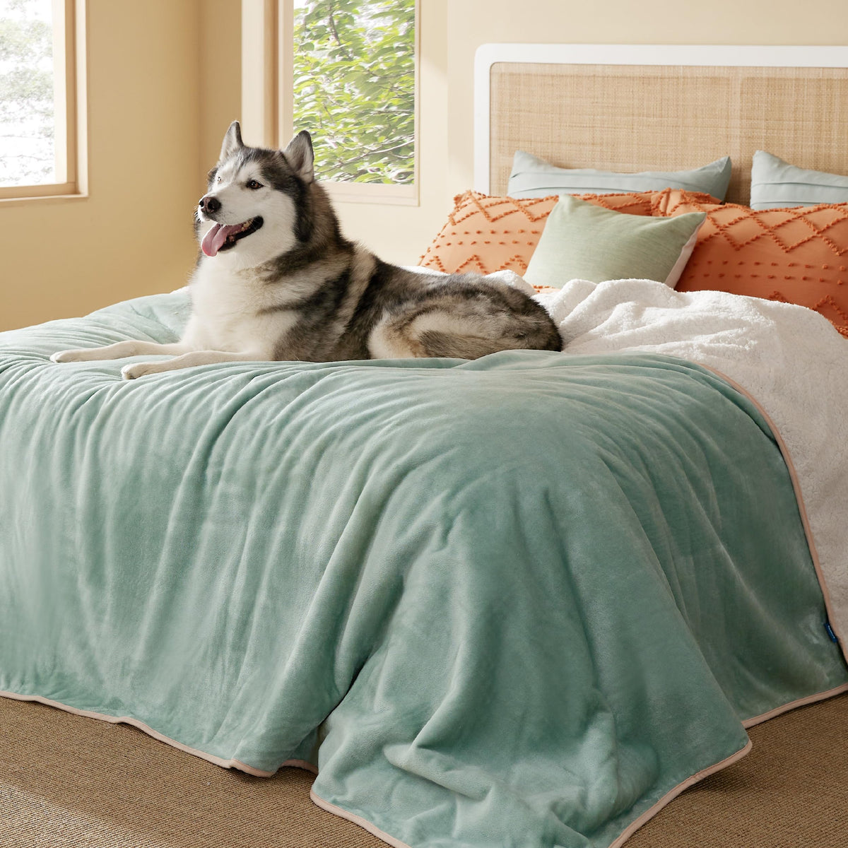 Bedsure Waterproof Dog Blankets for Small Dogs Soft Cat Blanket Warm,25X35