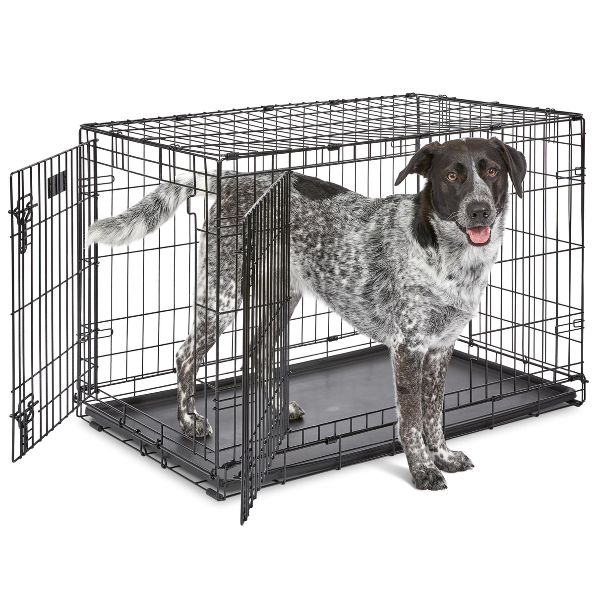 MidWest Homes for Pets 30-Inch iCrate for Medium Breeds, 21-40 lbs, Single Door Folding Dog Crate with Divider Panel, Leak-Proof Tray & Secure Latch, Portable, Durable & Easy to Assemble