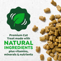 Greenies Cat Treats, Feline Veterinarian-Recommended Adult Natural Dental Cat Treats, Savory Salmon Flavor, 4.6 oz. Pouch